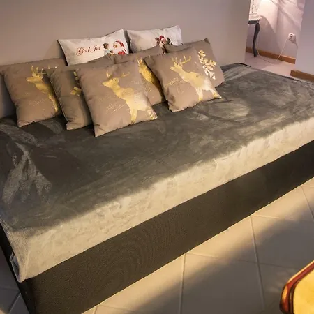 Zdroj Apartment *
