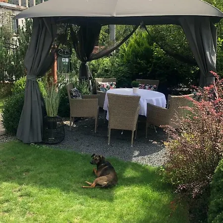 Apartment Zdroj Ladek-Zdroj