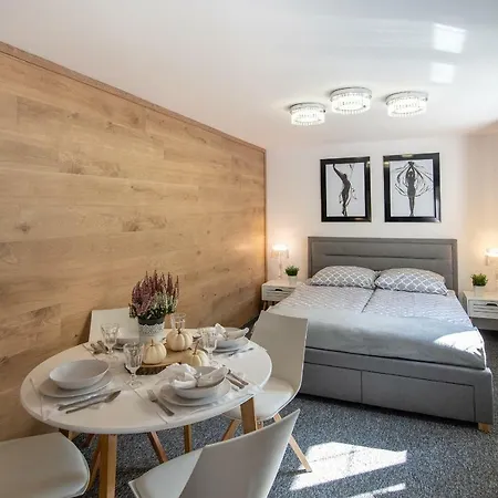Zdroj Apartment *